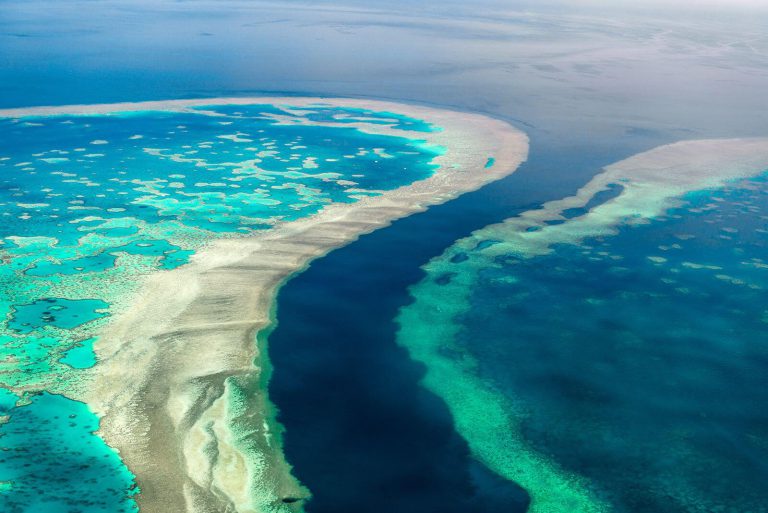 the great barrier reef