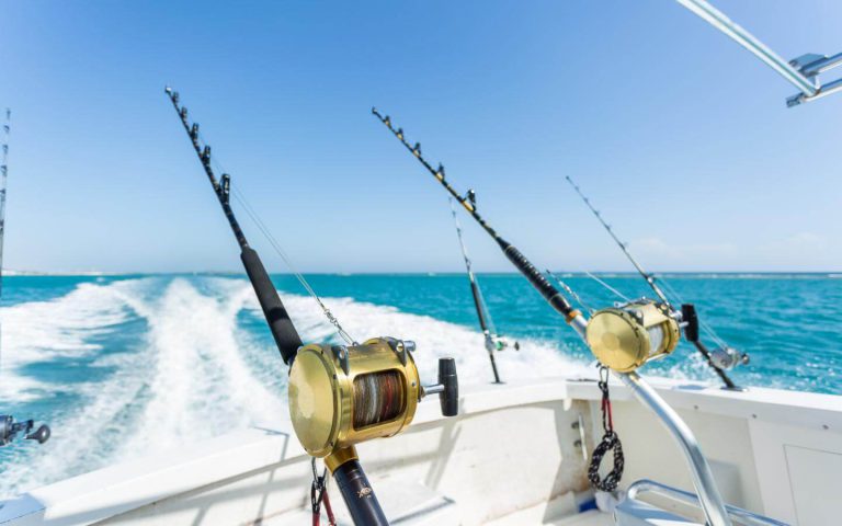 trolling rods and baicaster reels