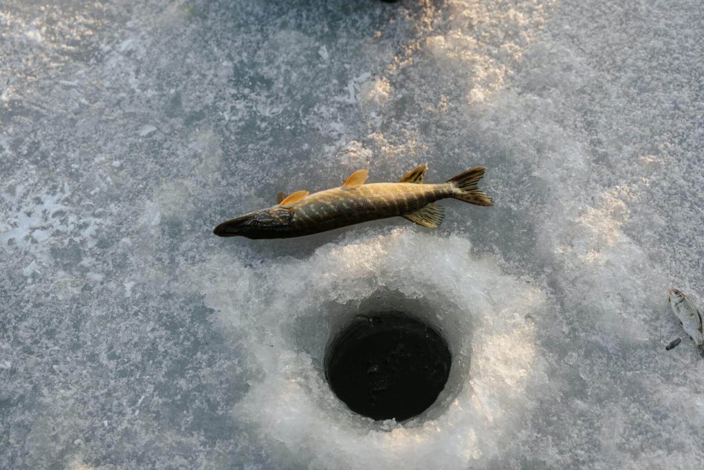 ice fishing