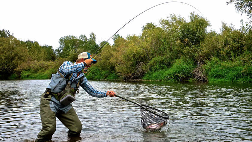 netting a fish