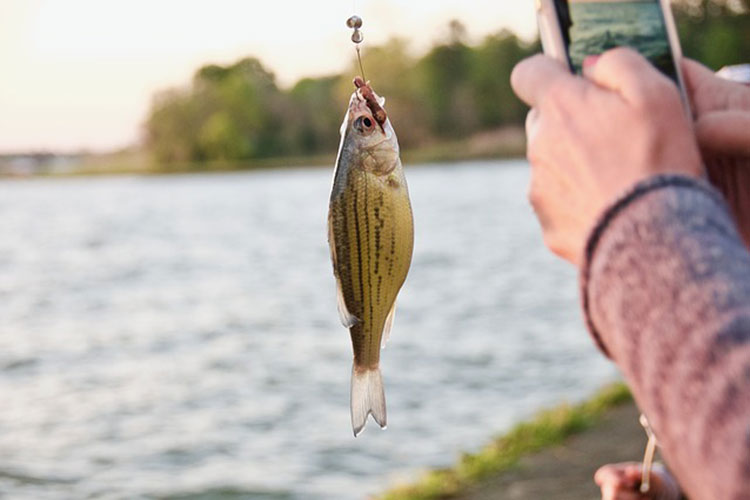 bait about to be cast into the water