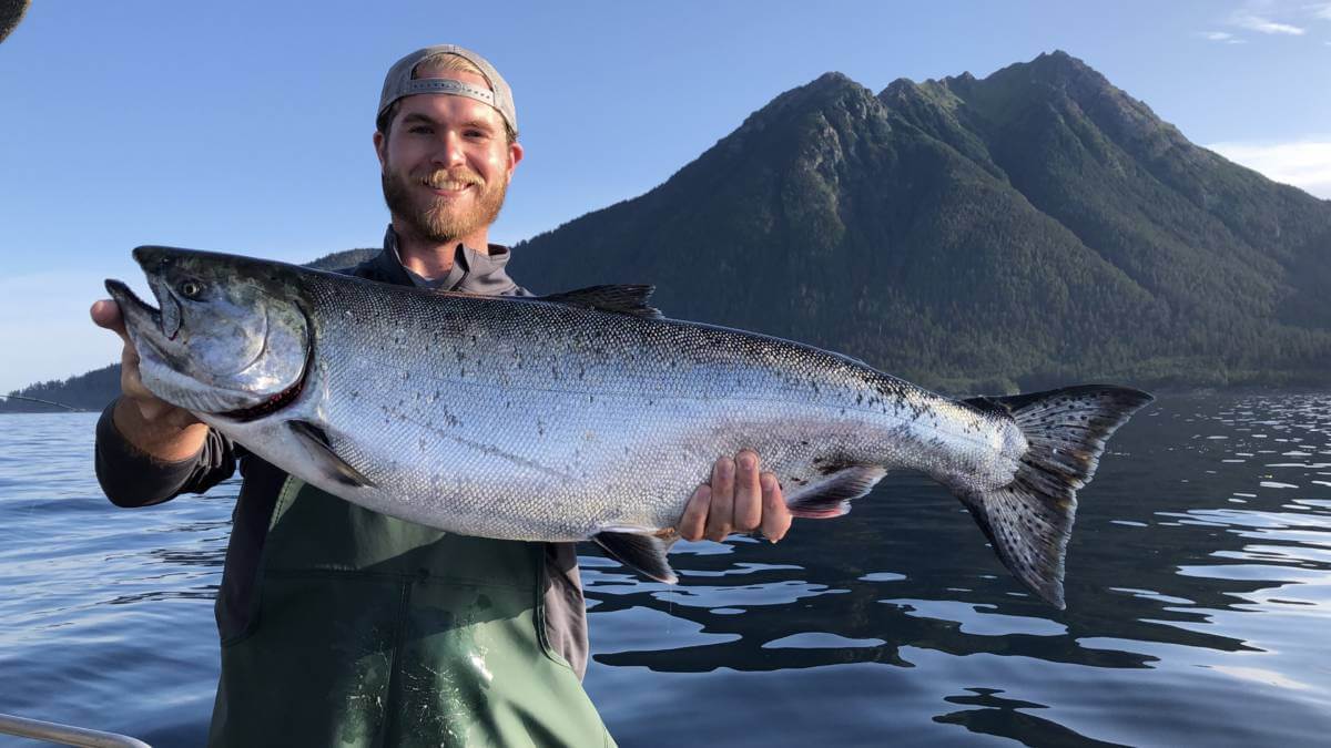 King salmon