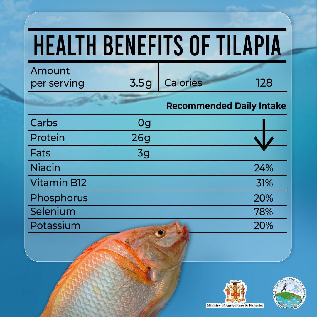 tilapia nutrients