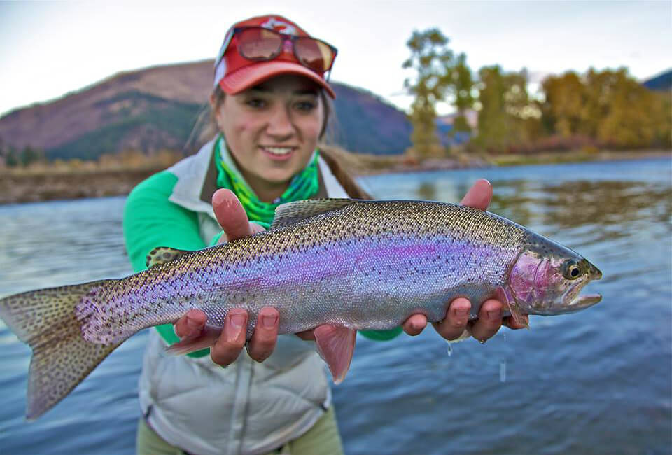 rainbow trout