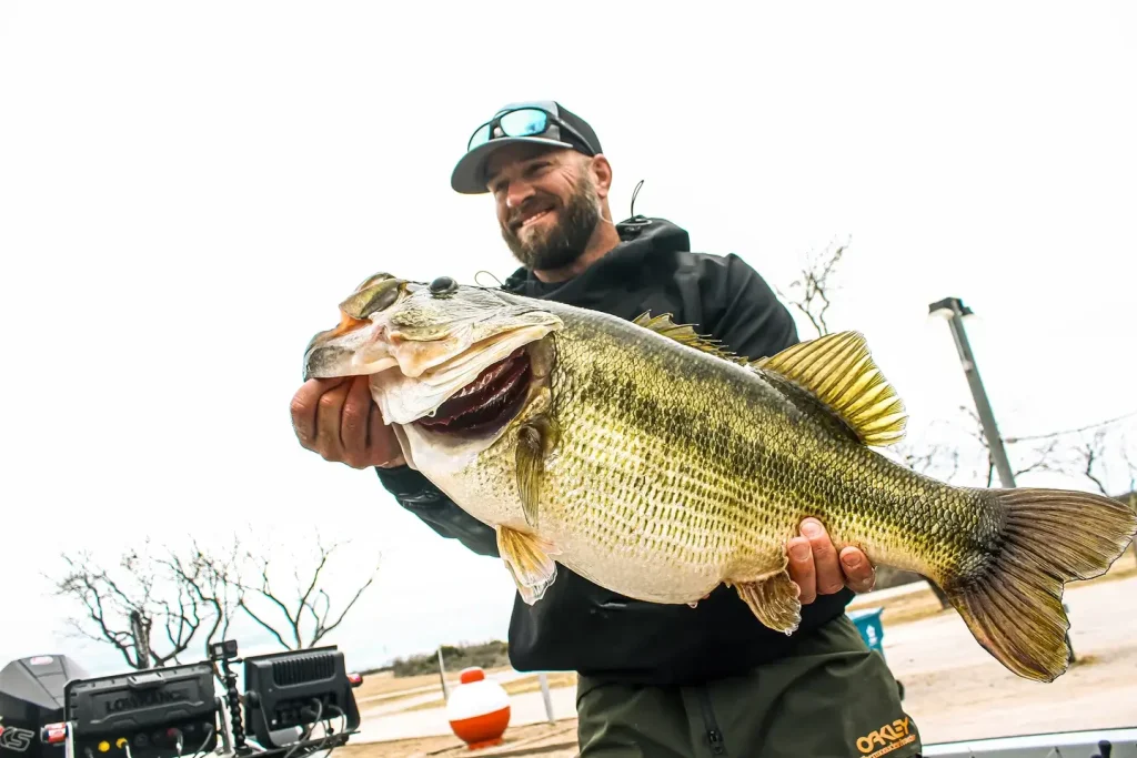 huge largemouth bass