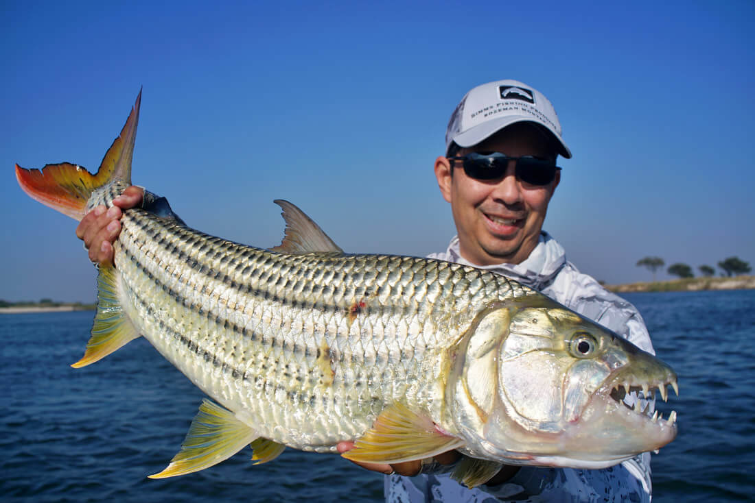 lake victoria tiger fish