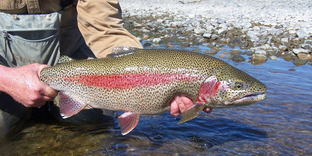 southwest alaskan fishing