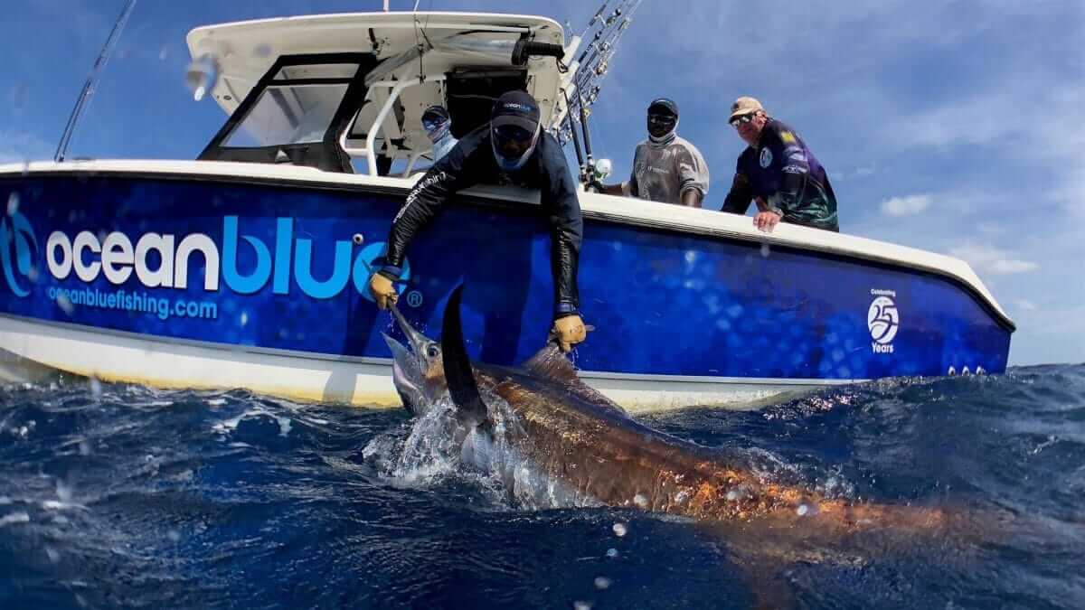 realsing fish back into the ocean