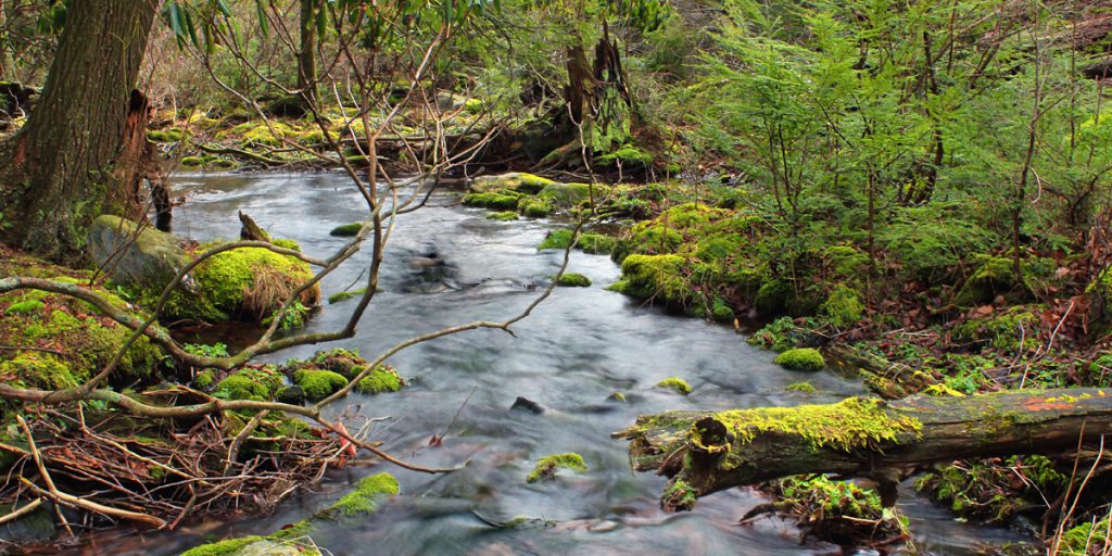 fishing water stream