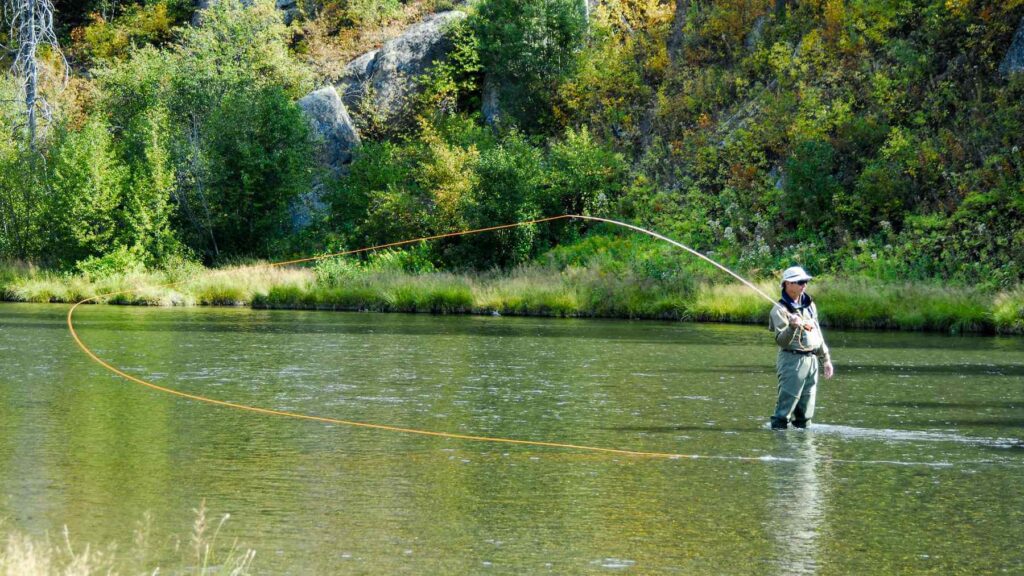 spey casting for trout