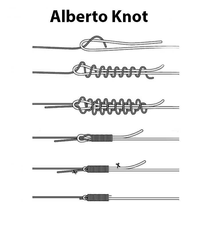 Alberto Knot black and white