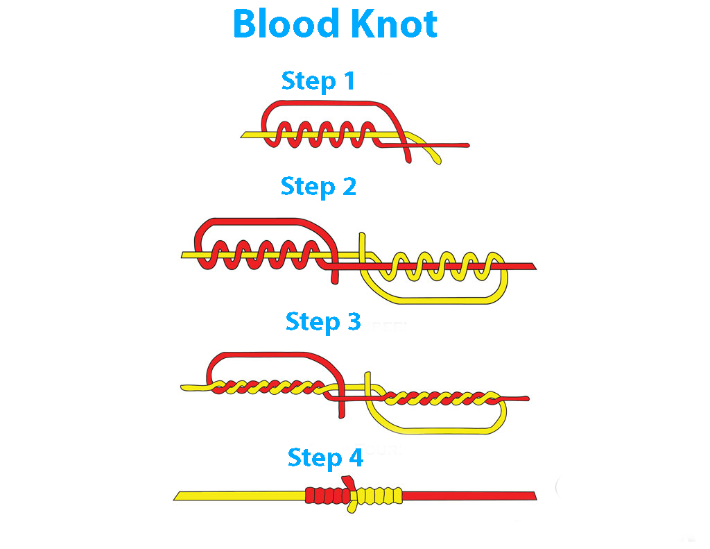 how to tie a blood knot