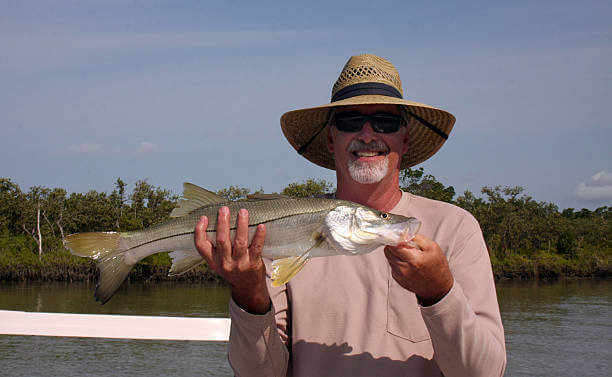 white old man holidng a snook fish