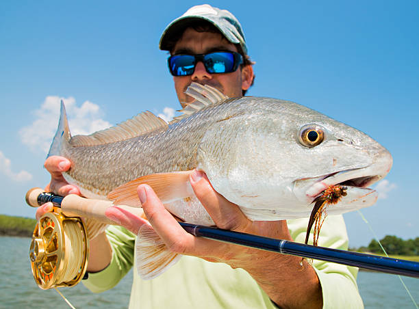 Fly fisherman holding a redfish